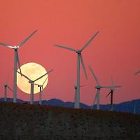 San Gorgonio Windkraftpark in Kalifornien <br/>Foto von Caveman 92223