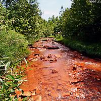 Acid Mine Drainage in "natürlicher Umgebung"